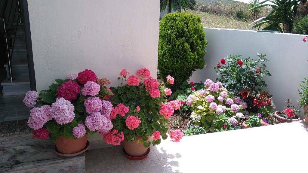 Erdeti Boutique Hotel ساراندا المظهر الخارجي الصورة