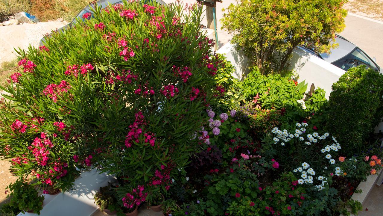Erdeti Boutique Hotel ساراندا المظهر الخارجي الصورة