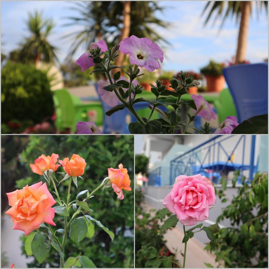 Erdeti Boutique Hotel ساراندا المظهر الخارجي الصورة